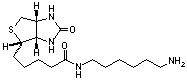 wpe30.gif (1478 bytes)