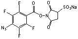 wpe5.jpg (2509 bytes)